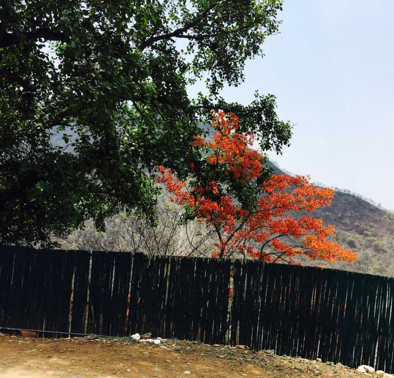 I Set Out To Conquer The Mountains