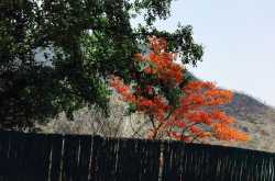 I Set Out To Conquer The Mountains