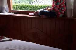 I Support Conceptual Learning Over Rote Learning For My Child