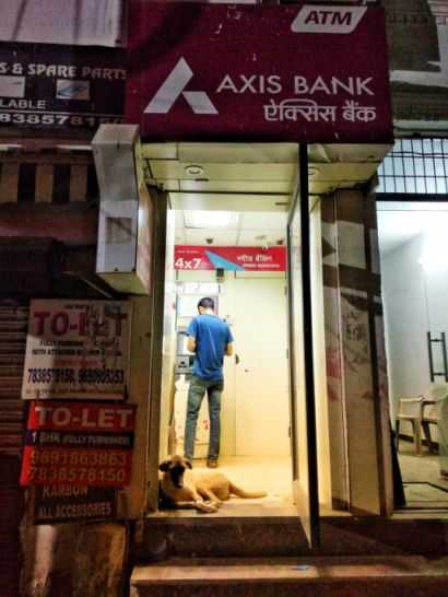 I Am A Doggo In Gurugram...