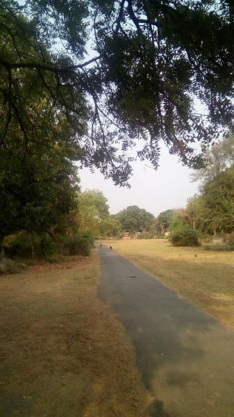 I Am Alive - Short Stories (2  Mins Read)