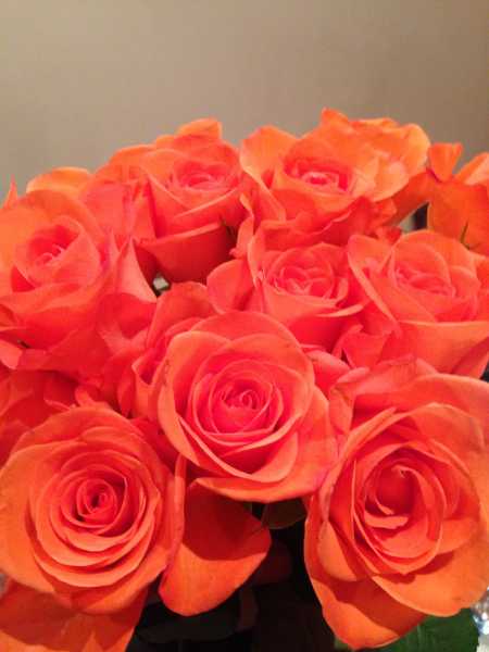 I Am Grateful #FridayReflections