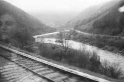 I dream my painting and I paint my dream.