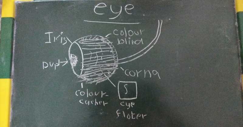 I Have A Weird Kid... But I Guess That Runs In The Family.