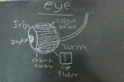 I have a weird kid... But I guess that runs in the family.