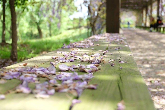 I Miss You! - The Write World