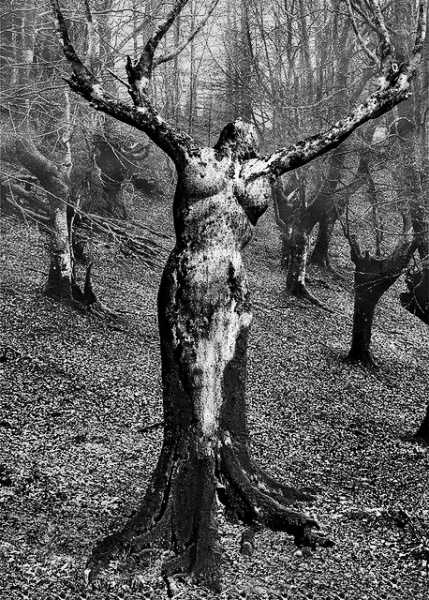 I Shan’t Leave You Again Alone, Never.