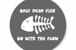 I swam against the tide