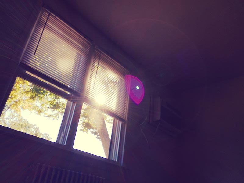 I’ve Never Felt So Dumb