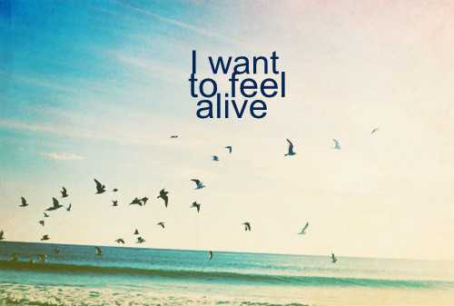 I Wanna Make Memories…..