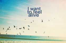 I wanna make Memories…..