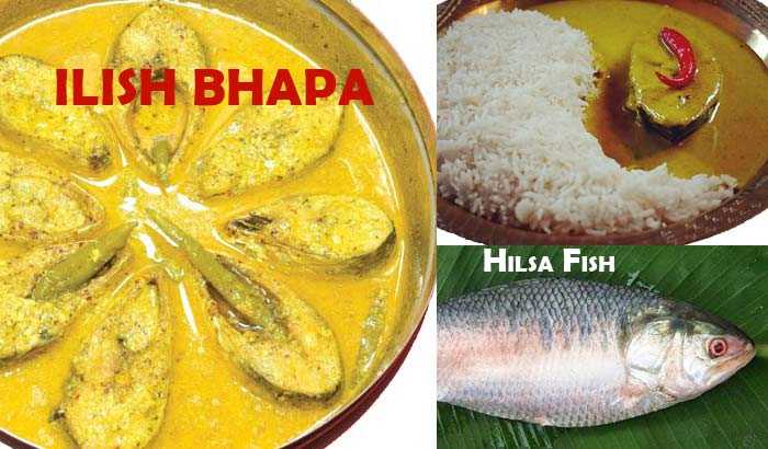 ILISH BHAPA- Hilsa Fish Steamed In Mustard Sauce - Travel, Technology, Food, Hotel