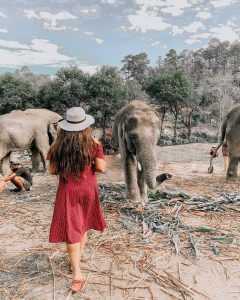 IMPORTANCE OF ENJOYING YOUR OWN COMPANY