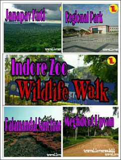 INDORE Thru My Eyes -- A WILDLIFE WALK