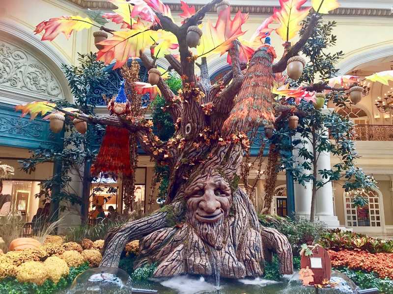 IPC 498A - Does It Actually Protect Women Or Is It A Choking Noose For Innocent Men? - UNLEASHED THOUGHTS