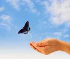 IS YOUR MIND CONTROLLING YOUR LIFE?