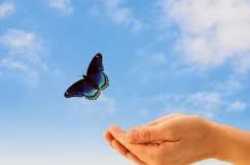 is your mind controlling your life?