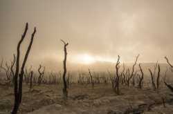 ISLAND OF DEAD HINDI || भुतिया आइलैंड, जहाँ हर तरफ है मौत