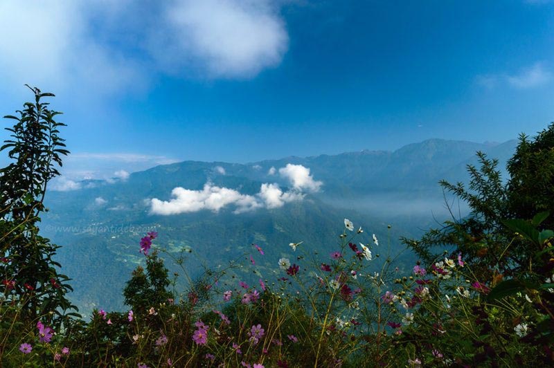 Icchegaon Of North Bengal: #AtoZchallenge - The Beauty Of Life