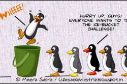 Ice-bucket challenge