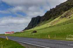 Iceland Roadtrip Day 3: Exploring the South Coast of Iceland - Wheels On Our Feet