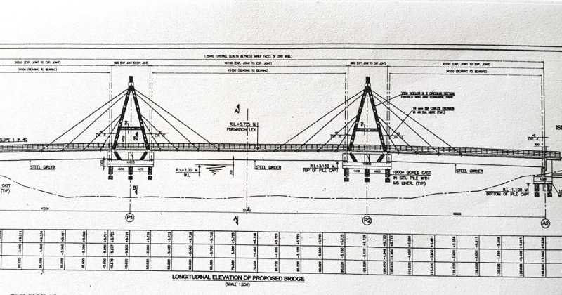 Iconic Eco Park Bridge