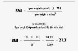 Ideal Meal Plans based on Daily Calorific Needs