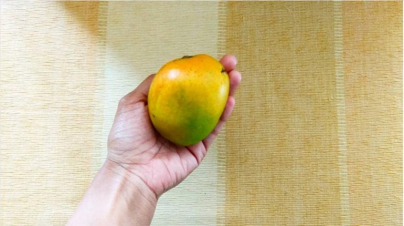 If Mangoes Were People