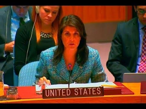 If Trump Draws Red Line, He Enforces It: Nikki Haley Warns Syria
