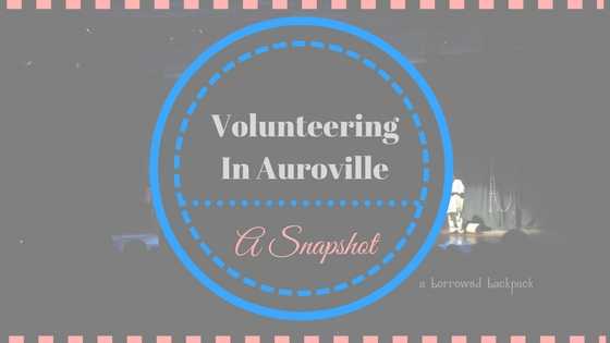 If You Are Wondering What Is It Like To Volunteer In Auroville, Here Is An Account.