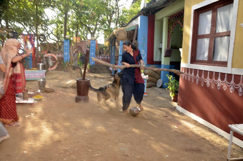 Ikyawann’ Actress Prachi Tehlan Badly Attacked By A Dog During The Shoot