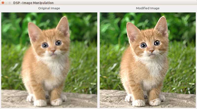 Image Processing Using MagickCore