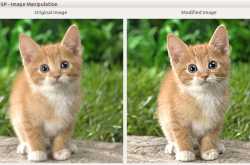 Image processing using MagickCore