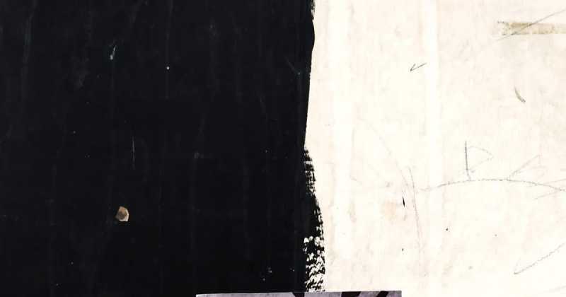 Images By Shanth Sam D