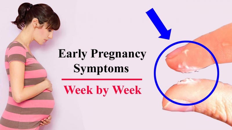 Immediate Signs Of Pregnancy? Check It Out - HealthCare2Day