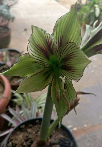 Imperfectly Made Unique!!