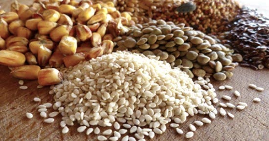 Importance Of Poultry Feed Supplements And Additives