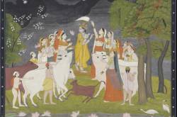 Importance of Cows in Hinduism