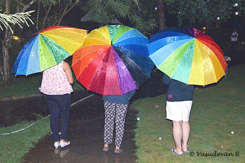 Importance Of Insurance For Travellers - Lemonicks - Indian Travel Blog