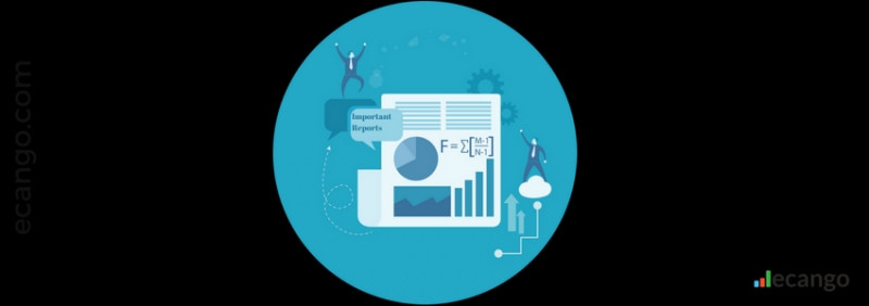 Important Reports That Every Business Should Analyze - Ecango