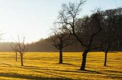 Imran Khan Reaches Out to PM Modi