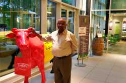 In Flander’s Fields - Solemnly through Ypres