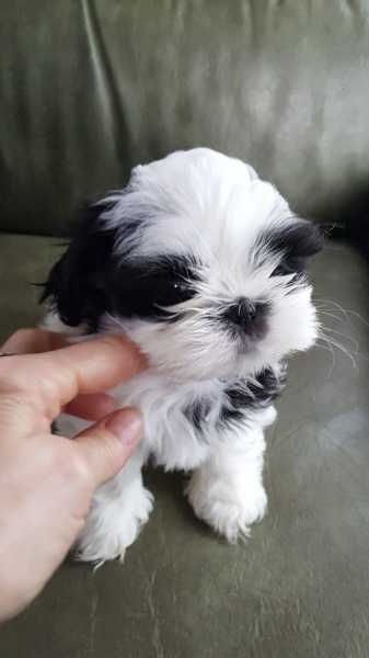 In Our Hearts, Forever. - Whynotsayit