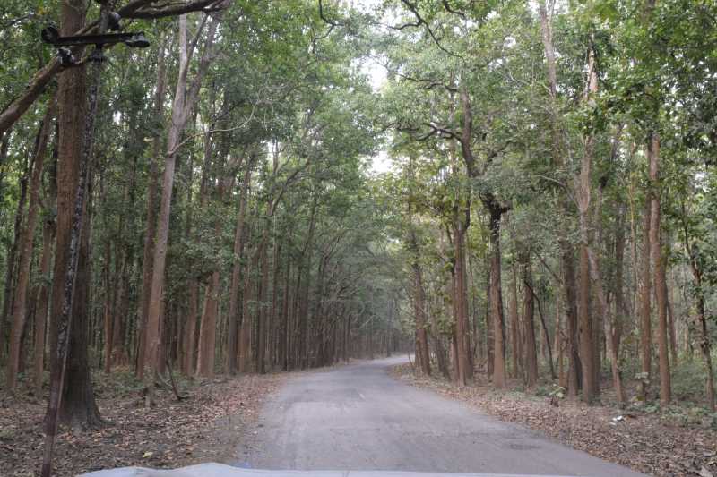 In Photos: Jim Corbett National Park