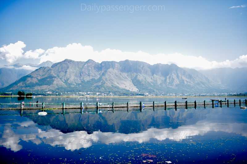 In Portraits - The Floating Vegetable Market Of Dal Lake
