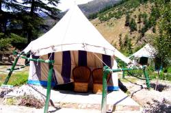 In Quest Of The Forbidden Fruit