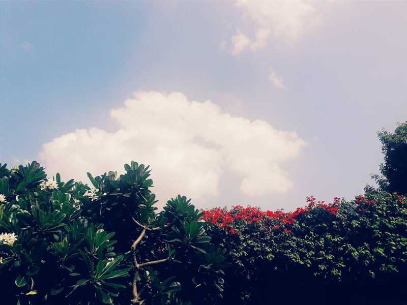 In Search Of Vanished Blood