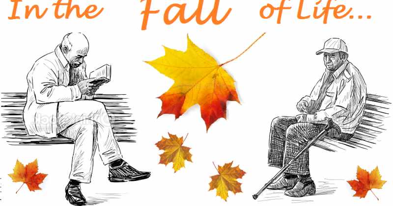 In The Fall Of Life - A Prelude