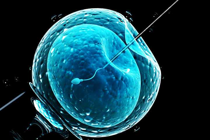In Vitro Fertilization: Procedure, Success Rates And Side Effects