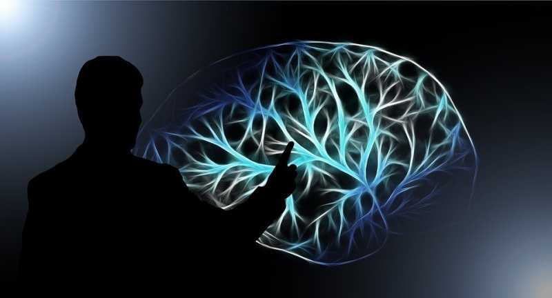 In What Form Is Memory Stored In The Brain & Mind? An Introduction | Cognition Today